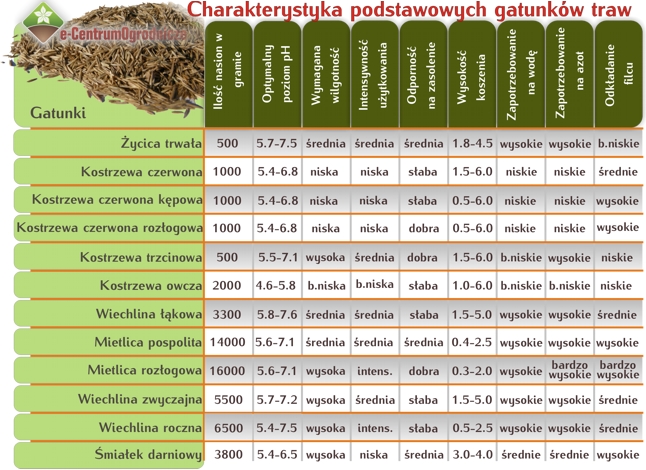 PIELĘGNACJA TRAWNIKÓW ZAKŁADANYCH Z SIEWU W PIERWSZYM ROKU